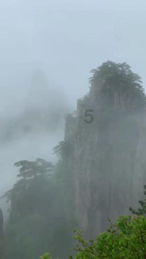 回购潮!豫园股份等超20股拟回购股份