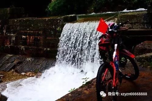 逃离奇异森林