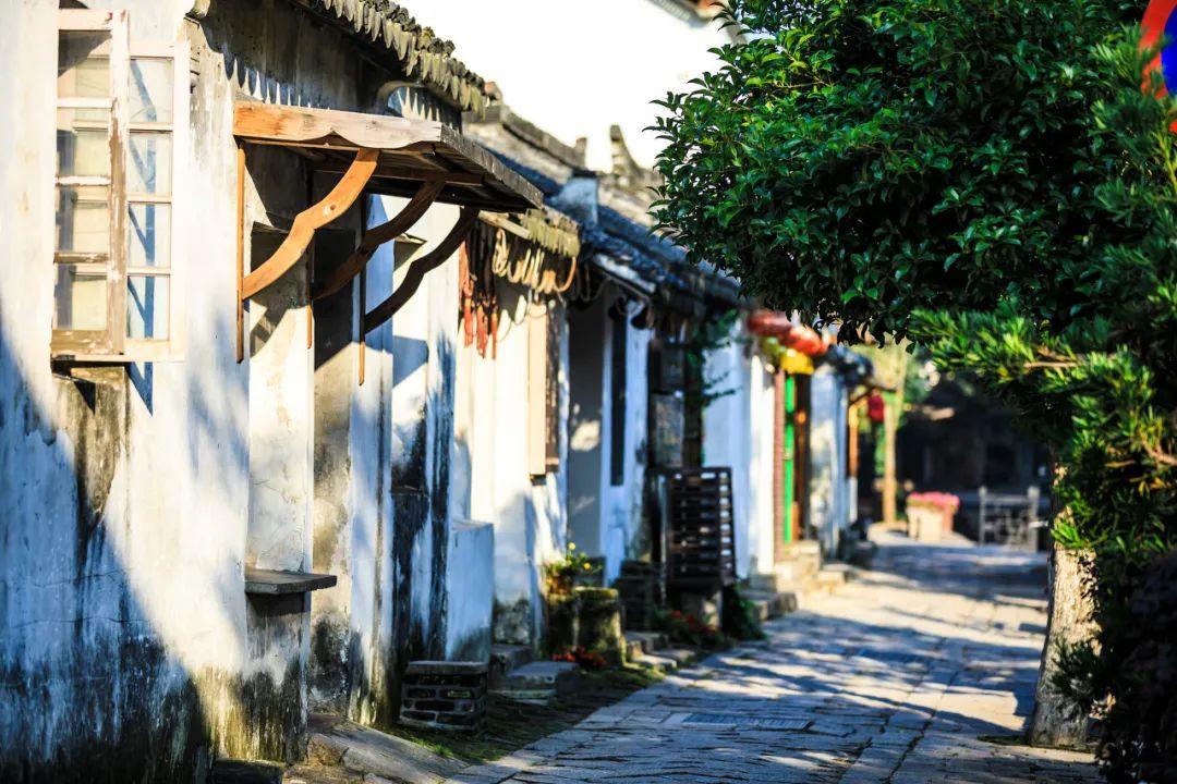 妙鸭相机app下载官网